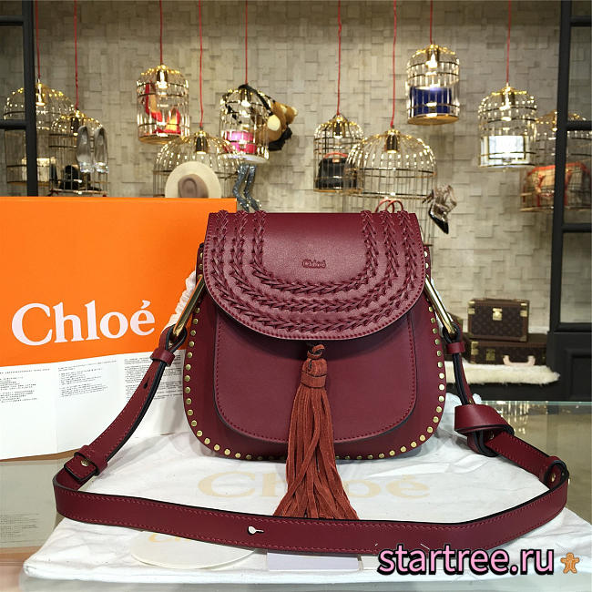 chloe cortex hudson CohotBag  - 1