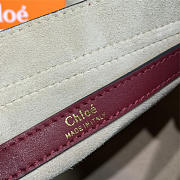 chloe cortex hudson CohotBag  - 4