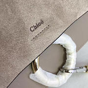 chloé cortex faye z1419 CohotBag  - 2