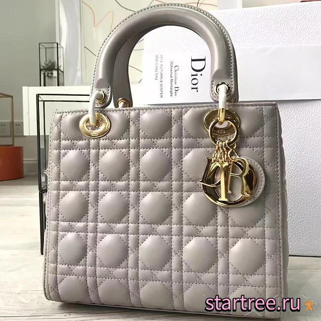 CohotBag lady dior 1569 - 1