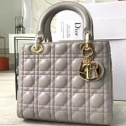 CohotBag lady dior 1569 - 1