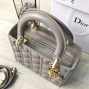 CohotBag lady dior 1569 - 6