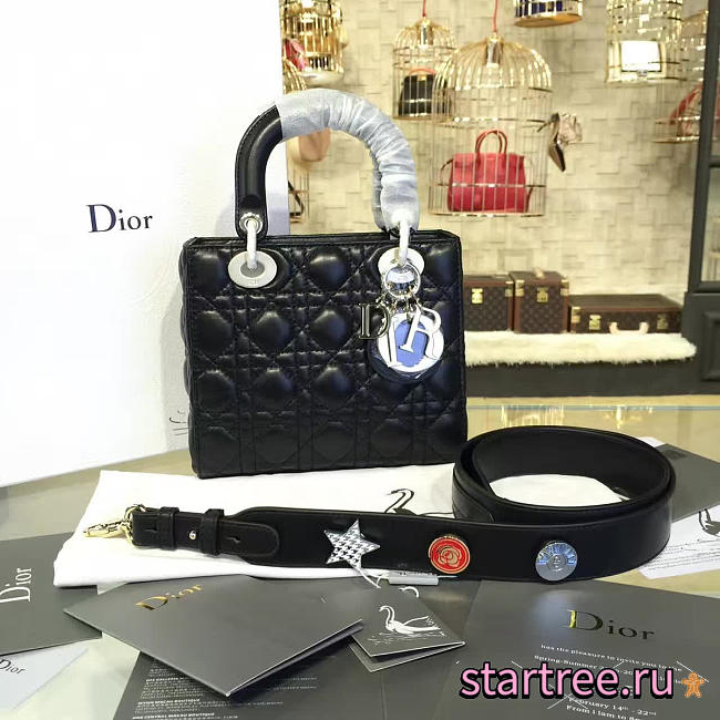 CohotBag lady dior 1631 - 1