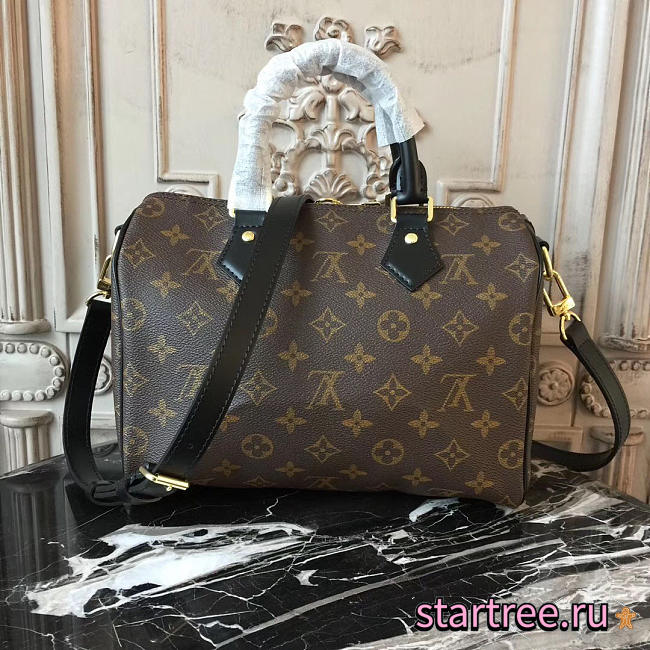 Louis Vuitton speedy 25 monogram - 1