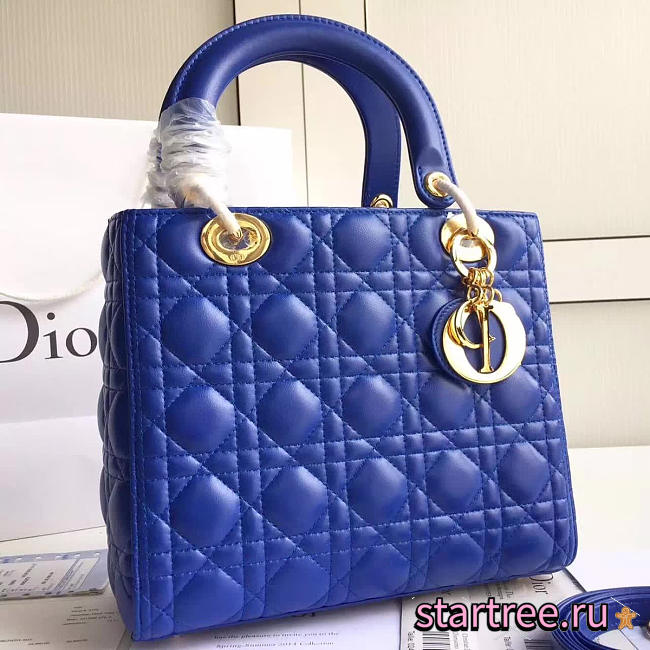 CohotBag lady dior 1573 - 1