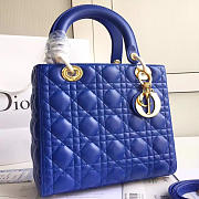 CohotBag lady dior 1573 - 1