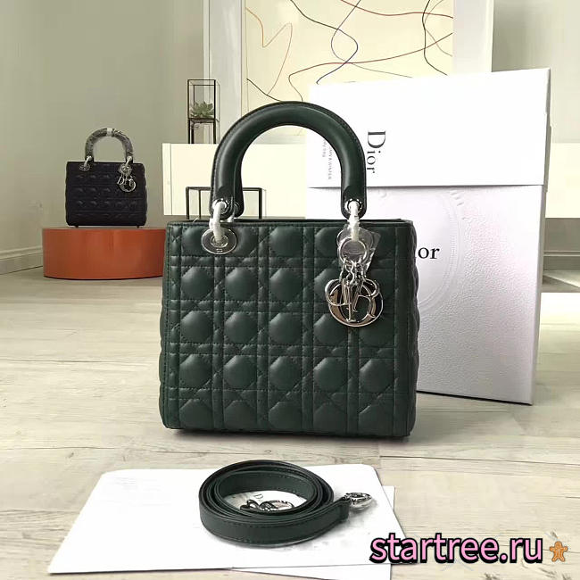 CohotBag lady dior 1574 - 1