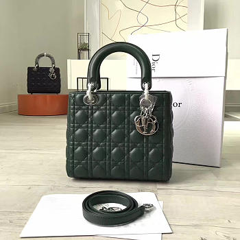 CohotBag lady dior 1574