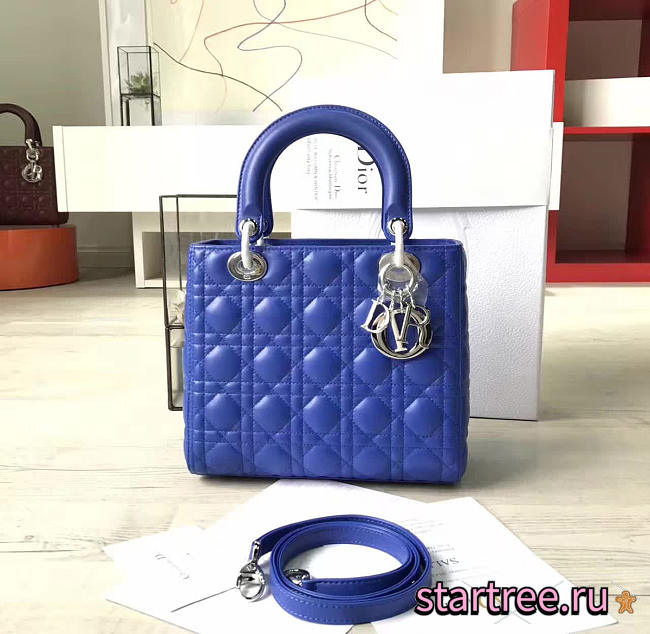 CohotBag lady dior 1577 - 1