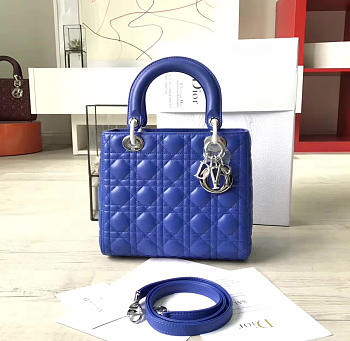 CohotBag lady dior 1577