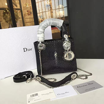 CohotBag dior lady 1703