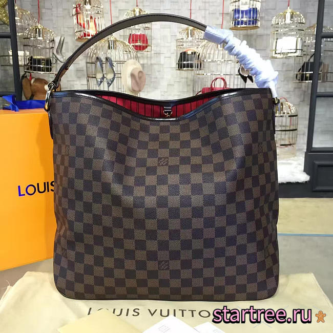 Louis Vuitton delightful damier ebene  3438 - 1