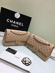 Chanel Classic Flap Bag in Light Beige 25cm - 2