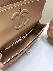 Chanel Classic Flap Bag in Light Beige 25cm - 3