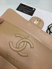 Chanel Classic Flap Bag in Light Beige 25cm - 4