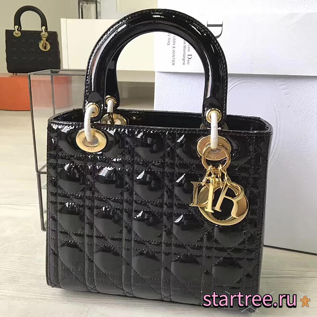 CohotBag lady dior 1603 - 1