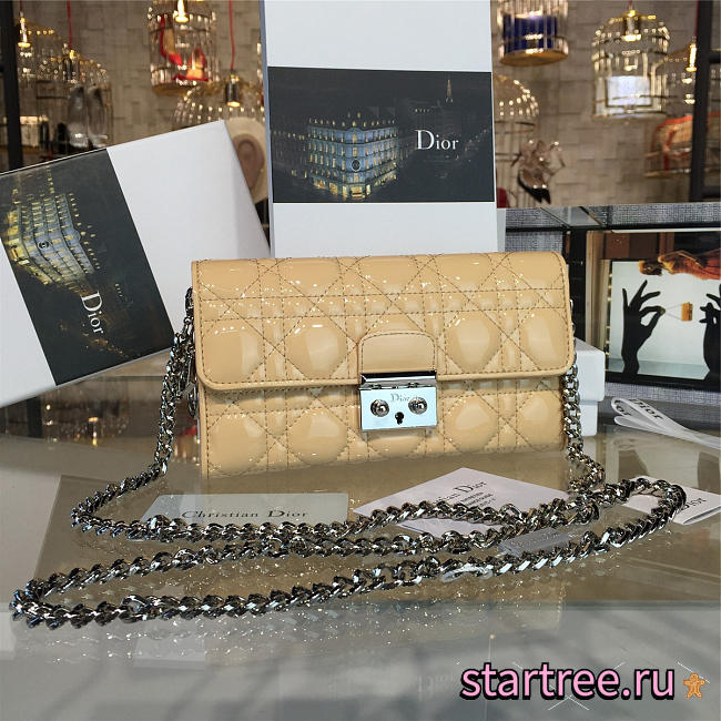 CohotBag dior woc 1688 - 1