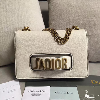 CohotBag dior jadior bag