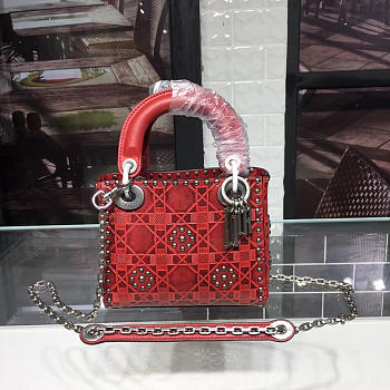 CohotBag lady dior 1572