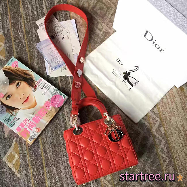 CohotBag lady dior 1623 - 1