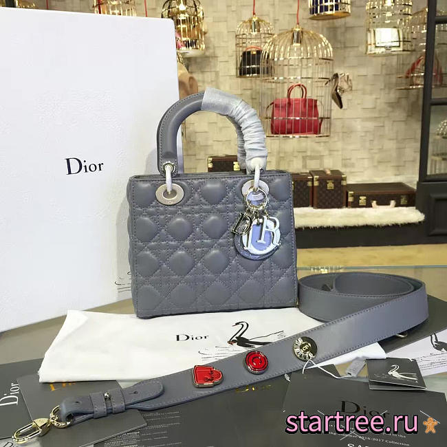 CohotBag lady dior 1626 - 1