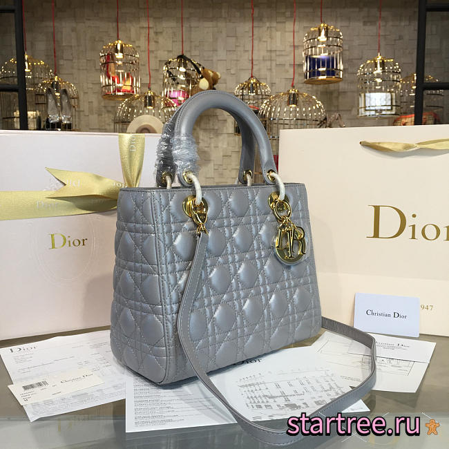 CohotBag lady dior 1643 - 1