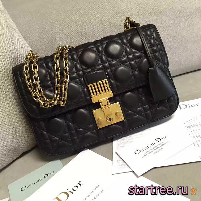 CohotBag dioraddict 1672 - 1