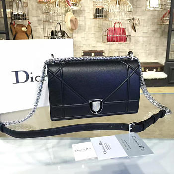 CohotBag dior ama 1730