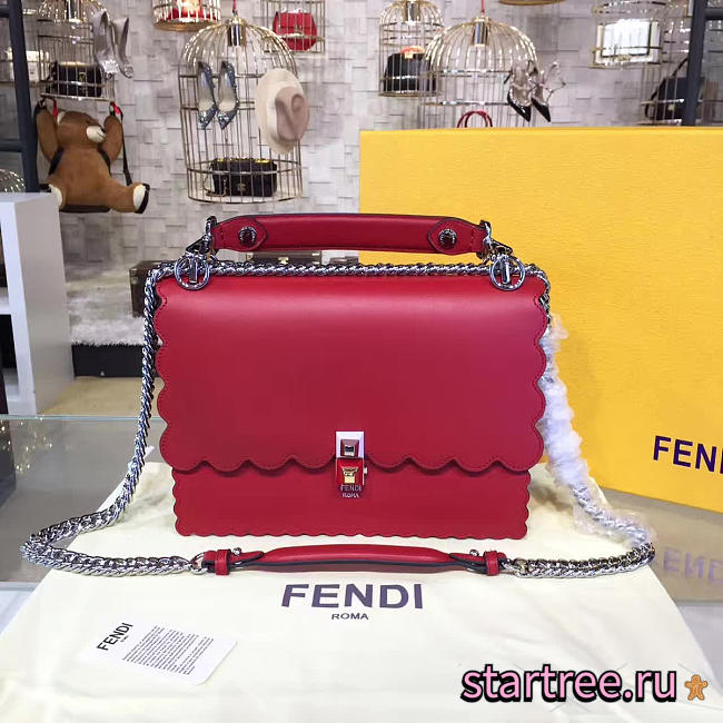 CohotBag fendi kani 1911 - 1