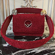 CohotBag fendi kani 2004 - 1