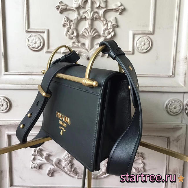 CohotBag prada plex ribbon black 4317 - 1