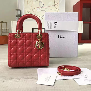 CohotBag lady dior 1584