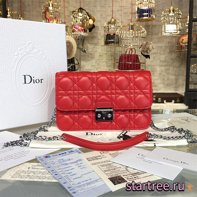 CohotBag dior woc 1675 - 1