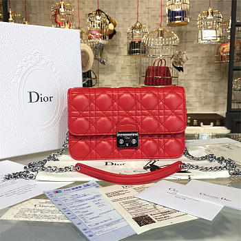 CohotBag dior woc 1675