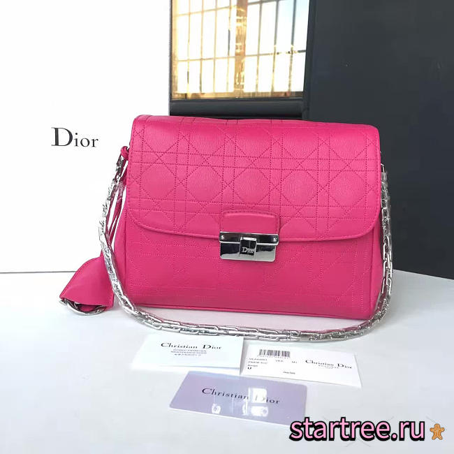 CohotBag dior miss - 1