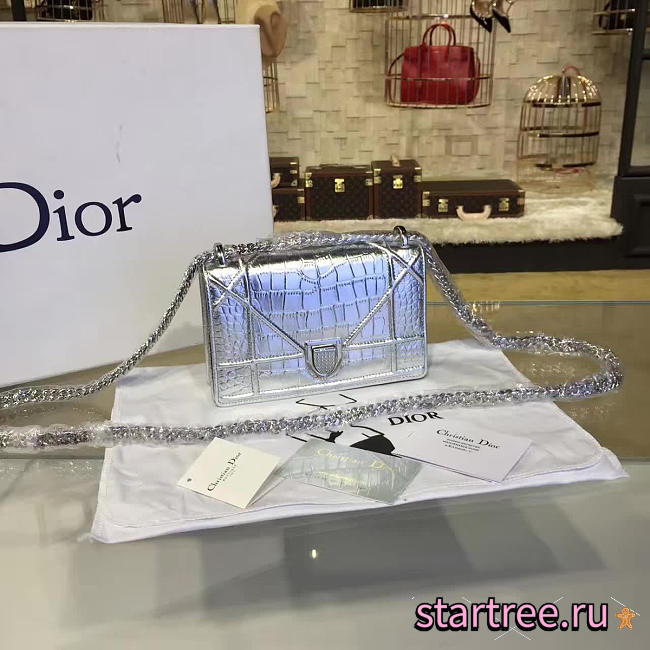 CohotBag dior ama 1754 - 1