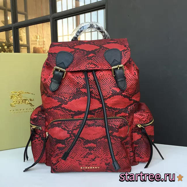 Burberry backpack 5801 - 1