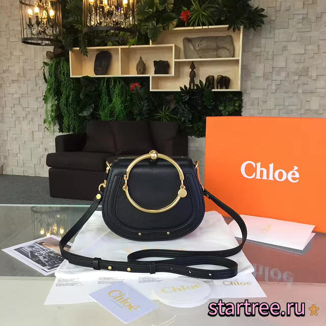 chloe leather nile CohotBag  - 1