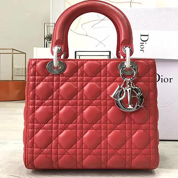 CohotBag lady dior 1579