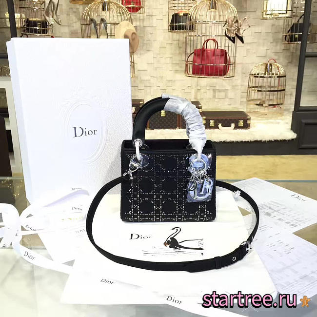 CohotBag dior lady mini - 1