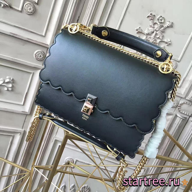 CohotBag fendi kani 1907 - 1