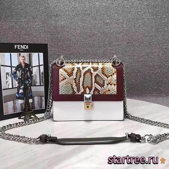 CohotBag fendi kani 2018 - 1