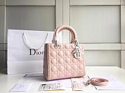 CohotBag lady dior 1575 - 1