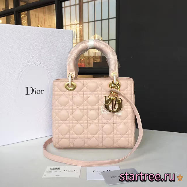 CohotBag lady dior 1621 - 1