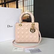 CohotBag lady dior 1621 - 1