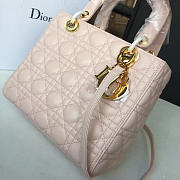 CohotBag lady dior 1621 - 3