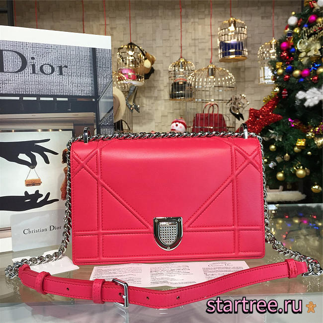 CohotBag dior ama 1736 - 1