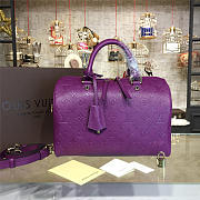 Louis Vuitton Speedy bandoulière 30 3116 - 1