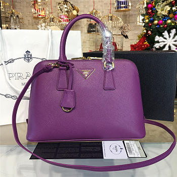 CohotBag prada promenade bag 3887