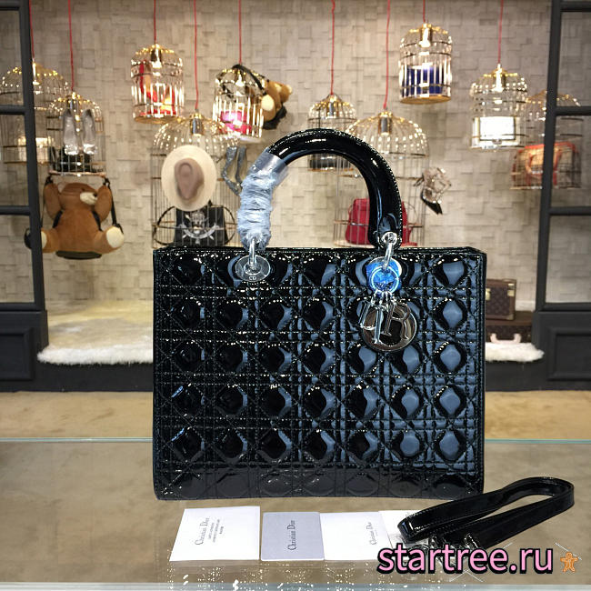 CohotBag lady dior 1634 - 1